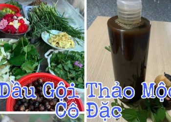 Cách nấu dầu gội đầu thảo dược cô đặc đang được quan tâm nhiều