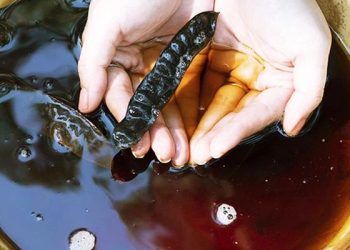 Một số lưu ý chung khi nấu bồ kết